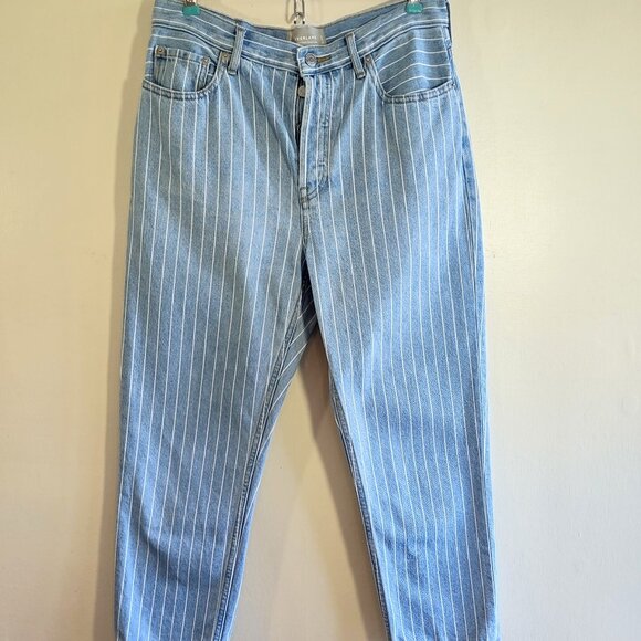 Everlane 90's Cheeky Straight Jean Stripe Ankle Light Wash Size 28 - Picture 2 of 11